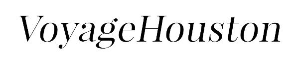 voyagehoustonlogo
